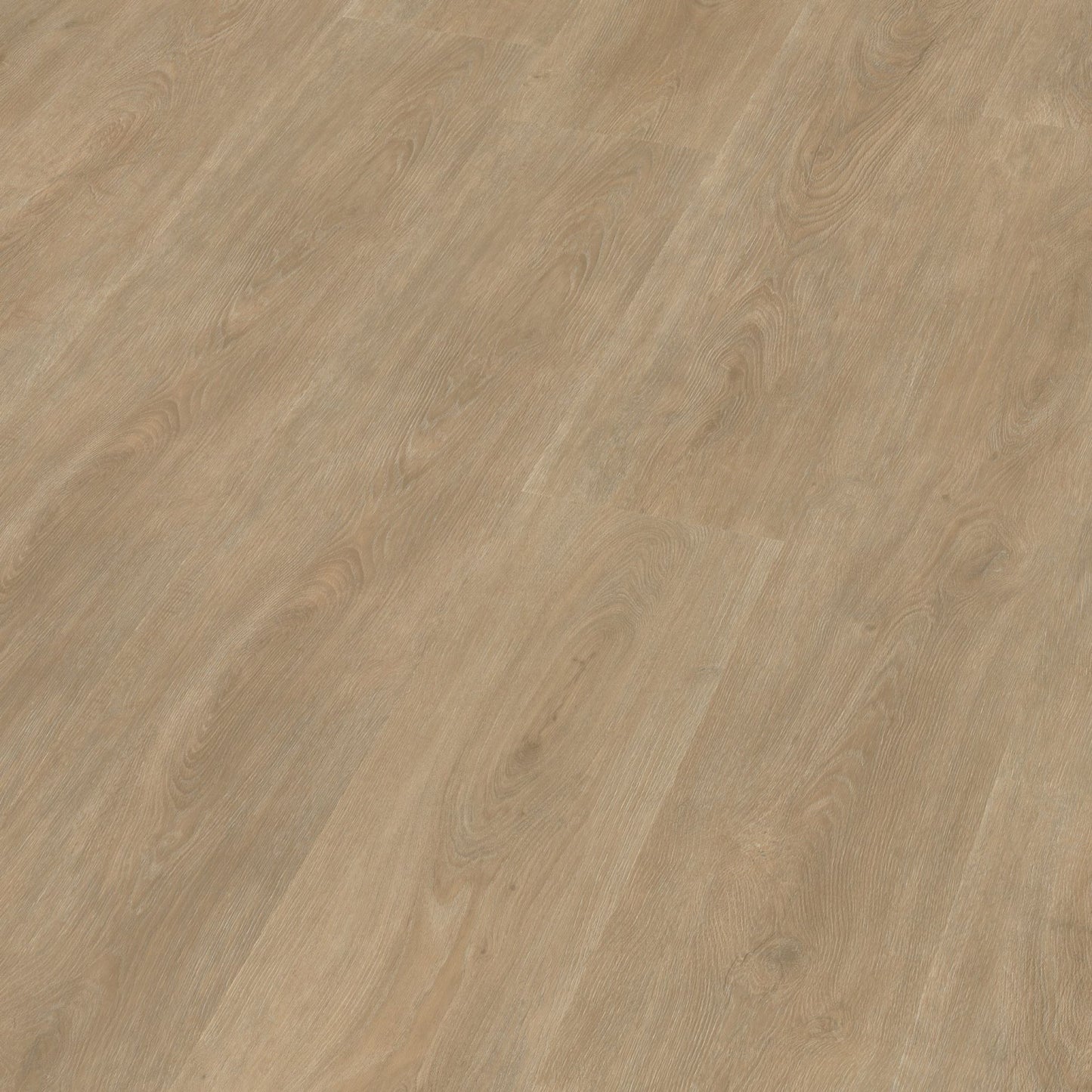 Robusto dryback naturel