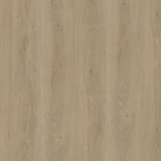 Robusto dryback beige