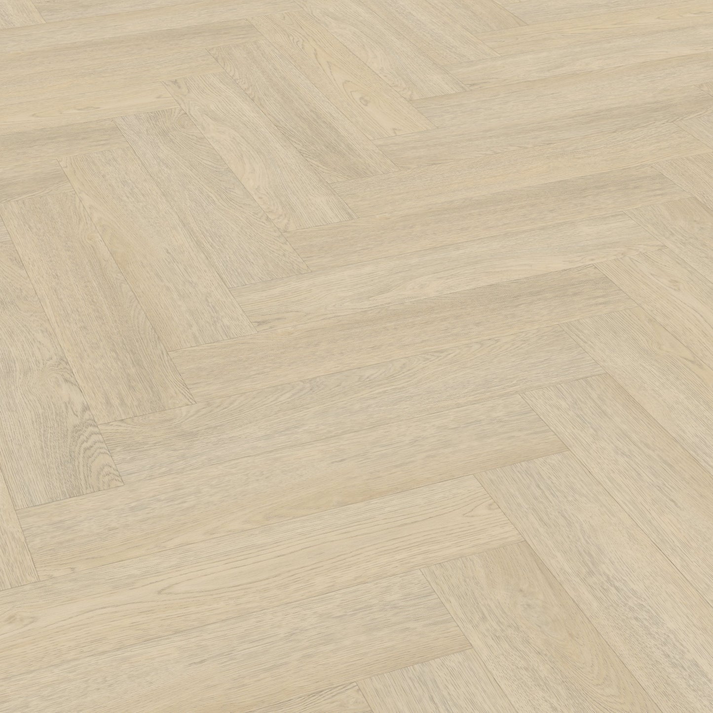 Terreno visgraat XL 62