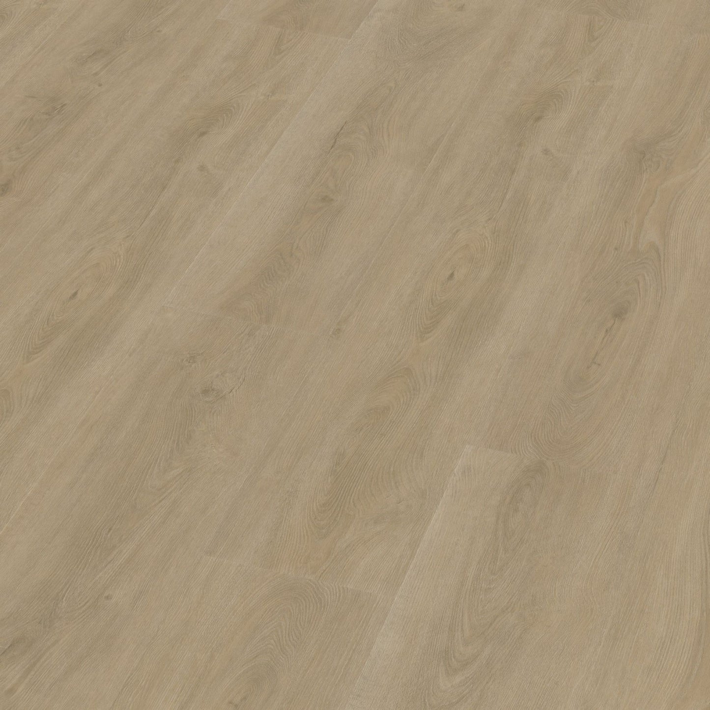 Robusto dryback beige