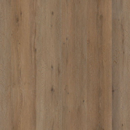 Vivero dryback smoky