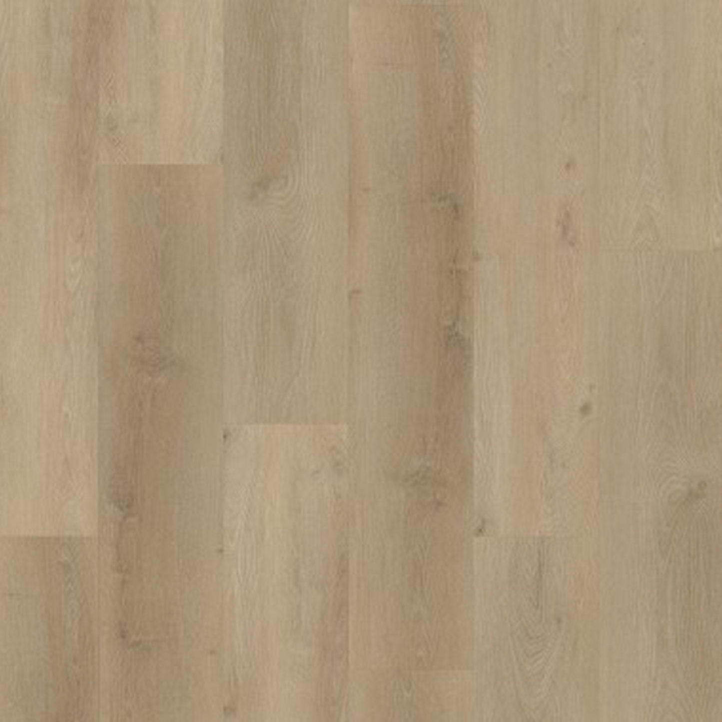 Country 4302 Prestige Oak Greige