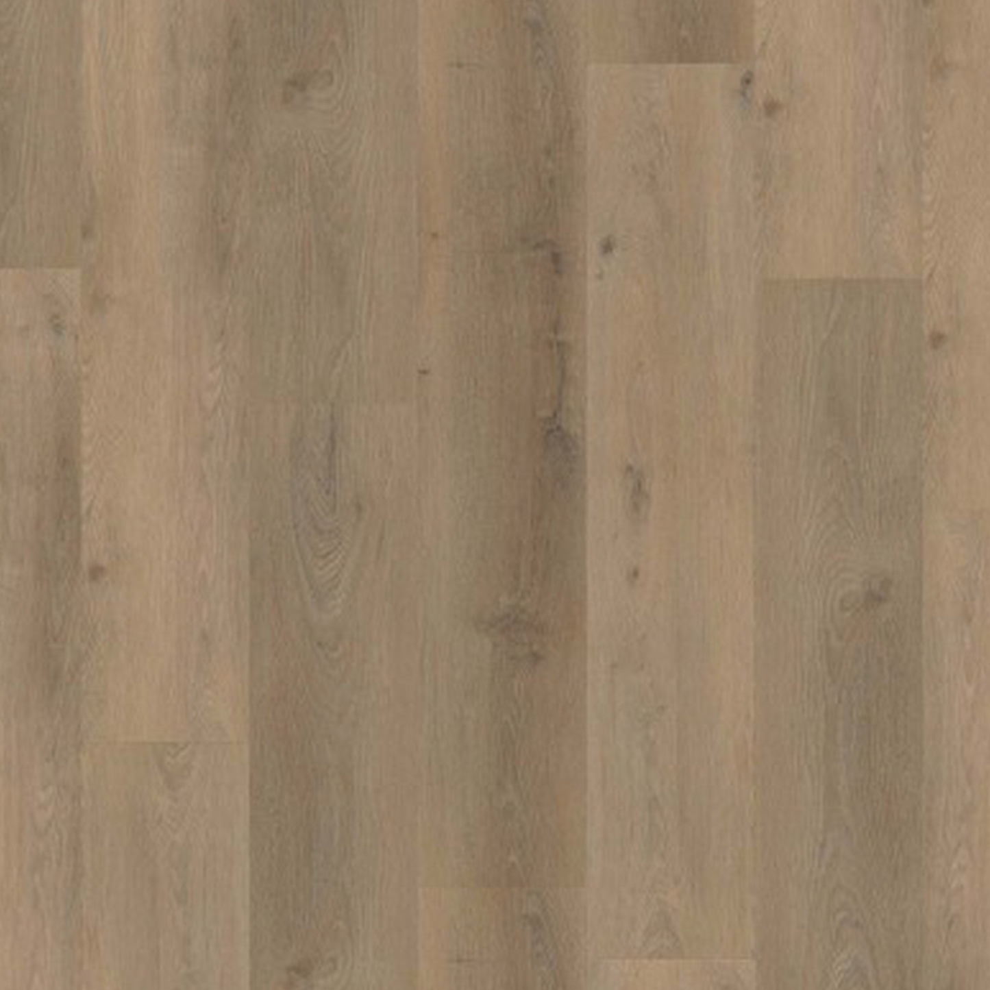 Country 4304 Prestige Oak Light