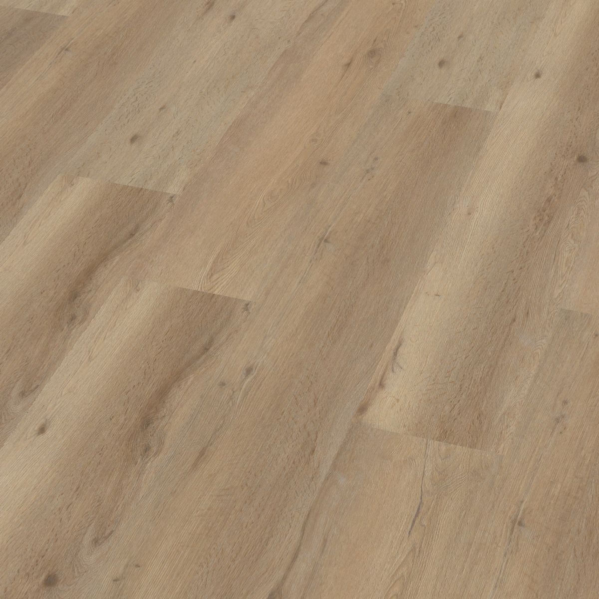 Vivero dryback natural oak