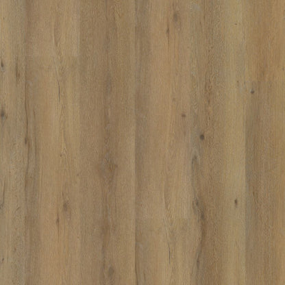 Vivero dryback dark oak