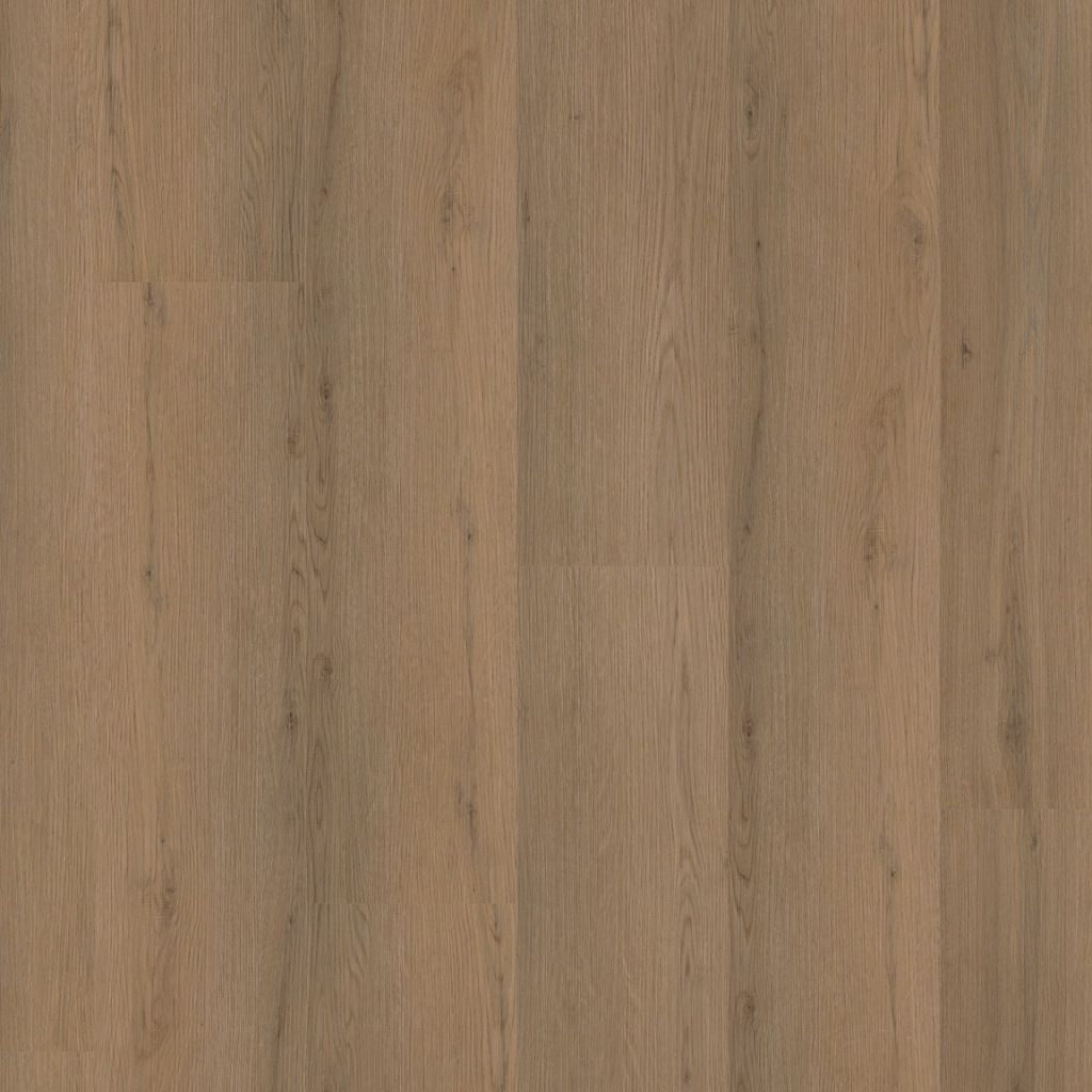 Venera dryback dark oak