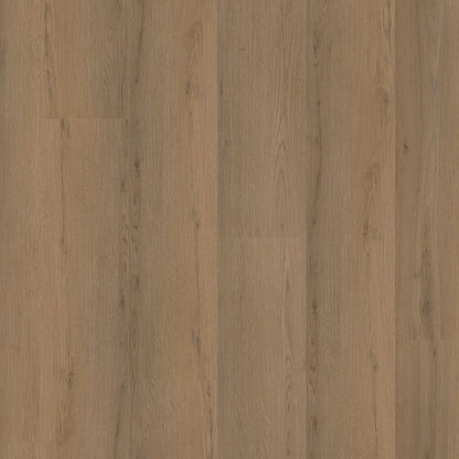 Venera dryback dark oak