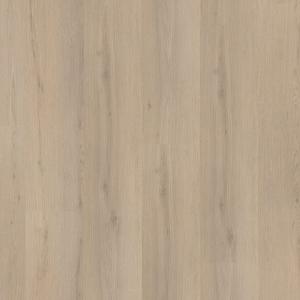 Venera dryback beige