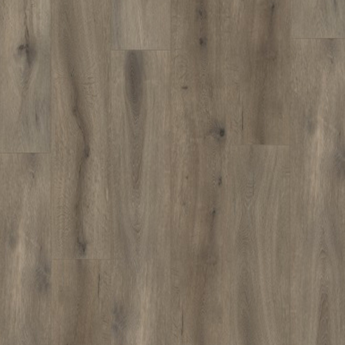 Callisto 4105 (dryback) Natural Oak Brown