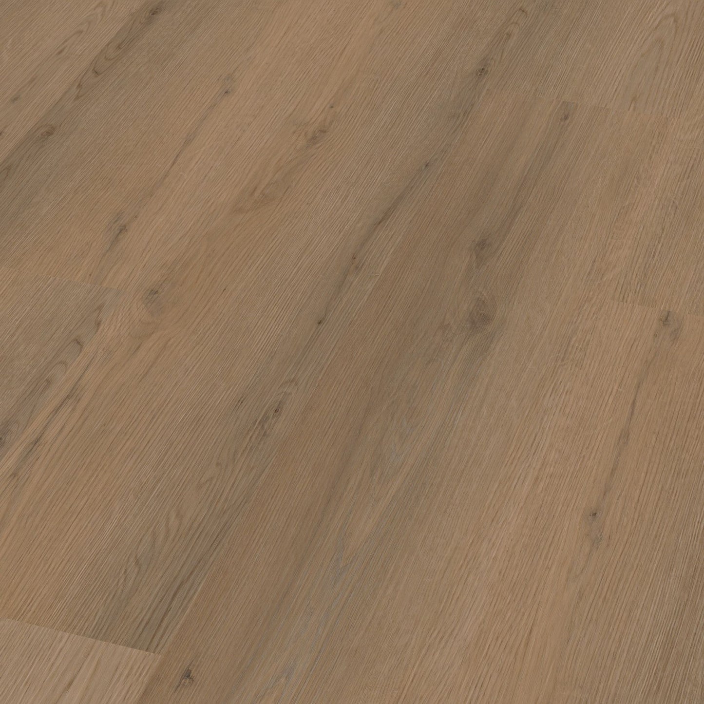 Venera dryback dark oak