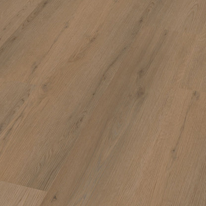 Venera dryback dark oak