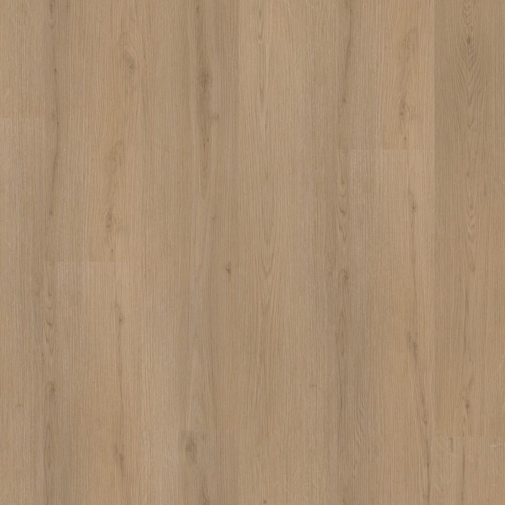 Venera dryback natural oak