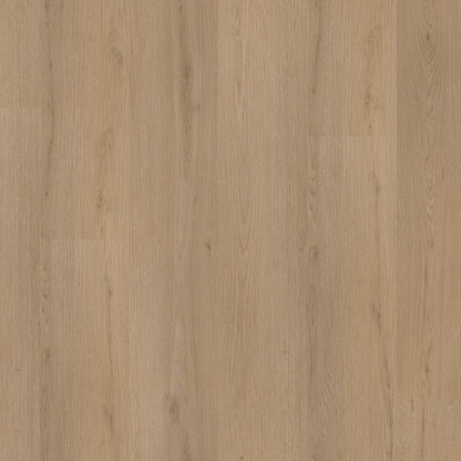 Venera dryback natural oak